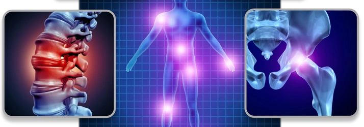 Chiropractic Muscatine IA Services Three medical illustrations showing spinal inflammation, pain points across the body, and a detailed pelvic view.